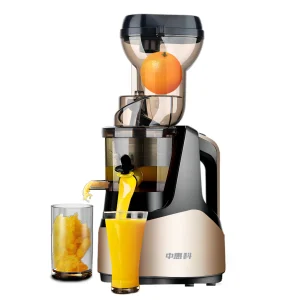 220V High-Efficiency Juicer Extractor