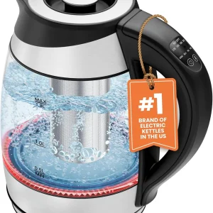 Electric Kettle with Temperature Control