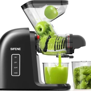 200W Slow Masticating Juicer Machine